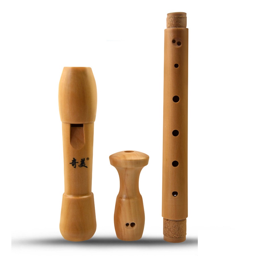 Qimei 8 buracos gravador alto  - Musical Instrument German avaliação e preço