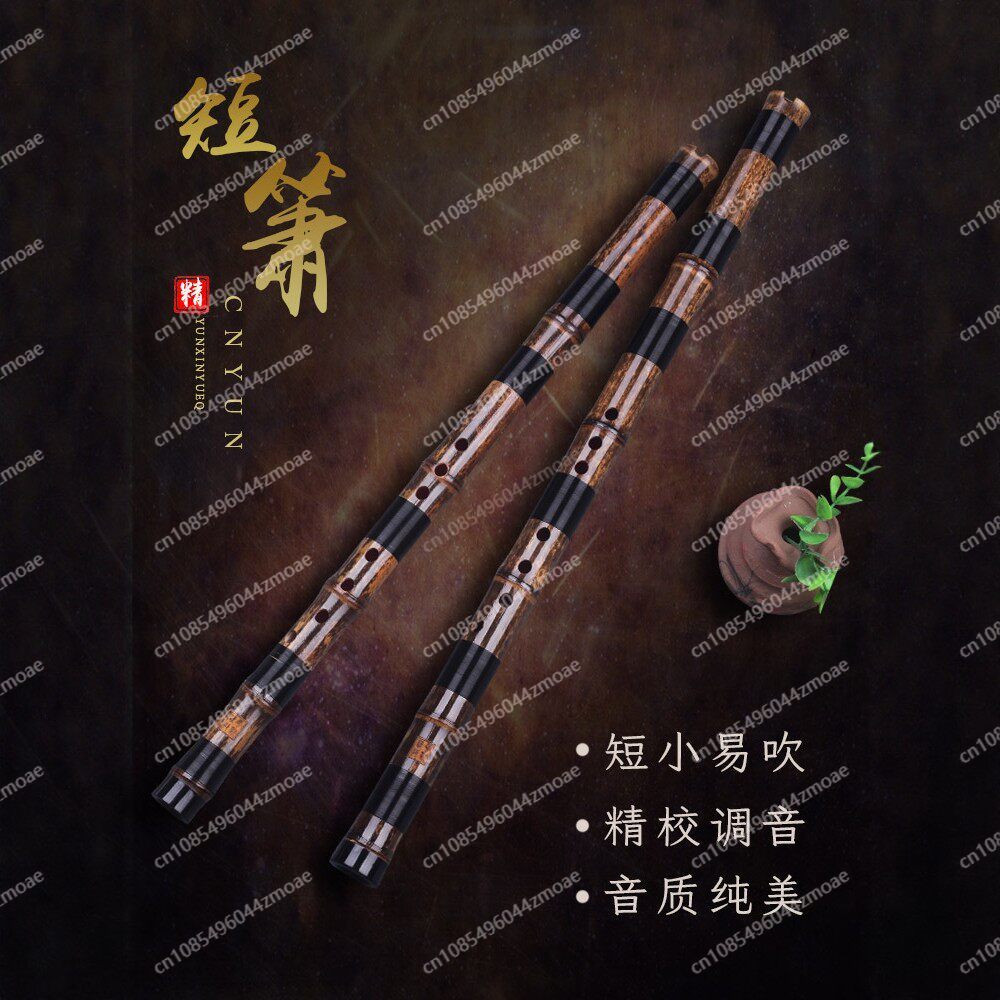 Flauta Profissional de Bambu C - Musical Instrument Blow avaliação e preço
