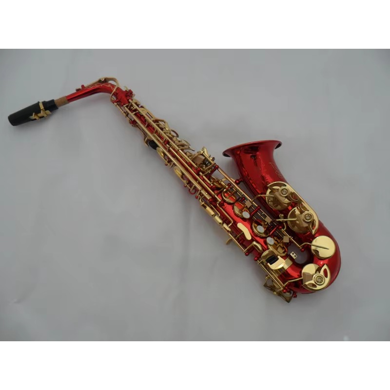 Saxofone alto e-flat personali - Musical Instrument Fagot avaliação e preço